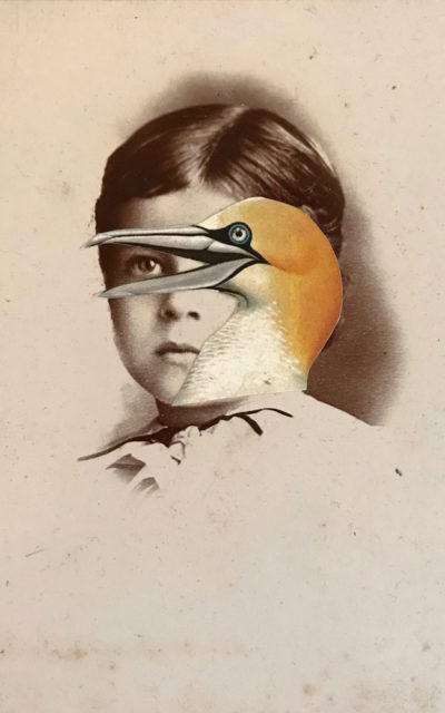 Suzanne Sbarge: Night Bird Through Opera Glasses Essay by Mary Anne Redding