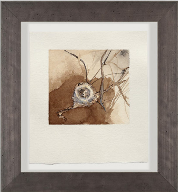 Chantal Maltais Oei - Hummingbird Nest 1