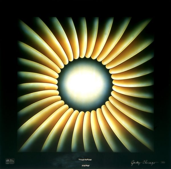 Judy Chicago - Through the Flower, early edition