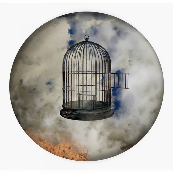 Meridel Rubenstein - Bird Cage with Open Door