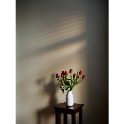 Jess T. Dugan - Red Tulips